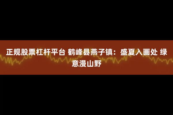 正规股票杠杆平台 鹤峰县燕子镇：盛夏入画处 绿意漫山野