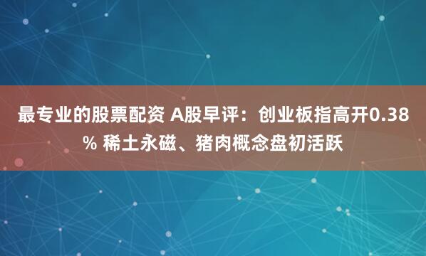 最专业的股票配资 A股早评：创业板指高开0.38% 稀土永磁、猪肉概念盘初活跃