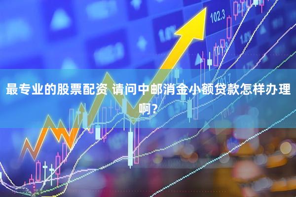 最专业的股票配资 请问中邮消金小额贷款怎样办理啊？