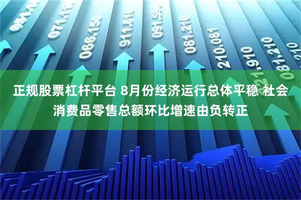 正规股票杠杆平台 8月份经济运行总体平稳 社会消费品零售总额环比增速由负转正