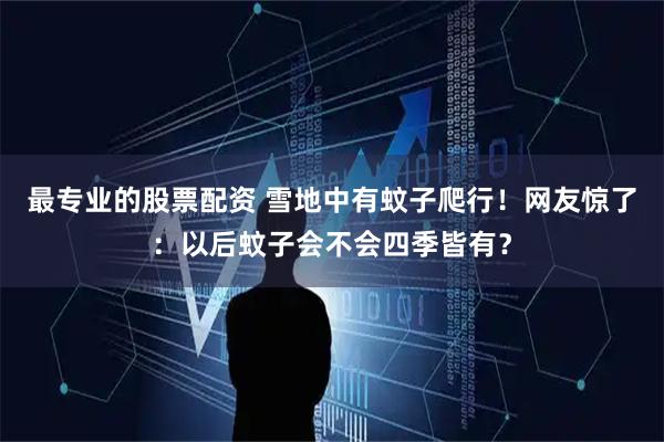 最专业的股票配资 雪地中有蚊子爬行!网友惊了:以后蚊子会不会四季皆有?